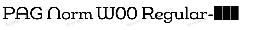 PAG Norm W00 Regular字体转换